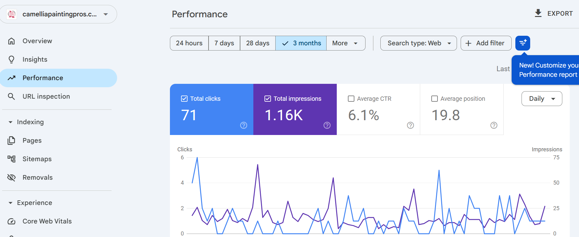 Local SEO Performance Portfolio Preview